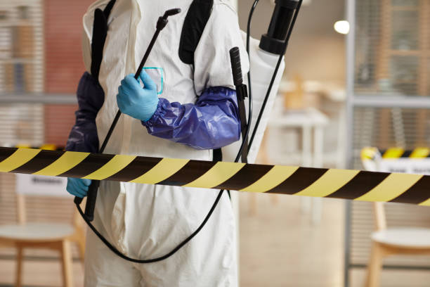 Professional Sewage Cleanup technician working in Lake Isabella, MI